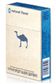 Buy discount Camel Essential Blue online