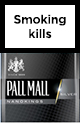 Buy discount Pall Mall Nanokings Silver online